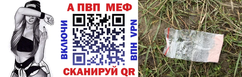OMG как войти  Куртамыш  Alpha-PVP СК  где найти  